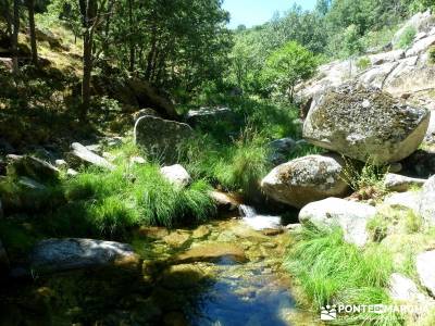 Pinares Navaluenga; puente 12 octubre;actividades de senderismo;grupos de trekking;escalada